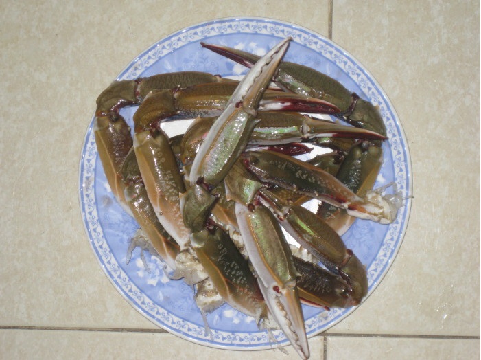 Càng ghẹ